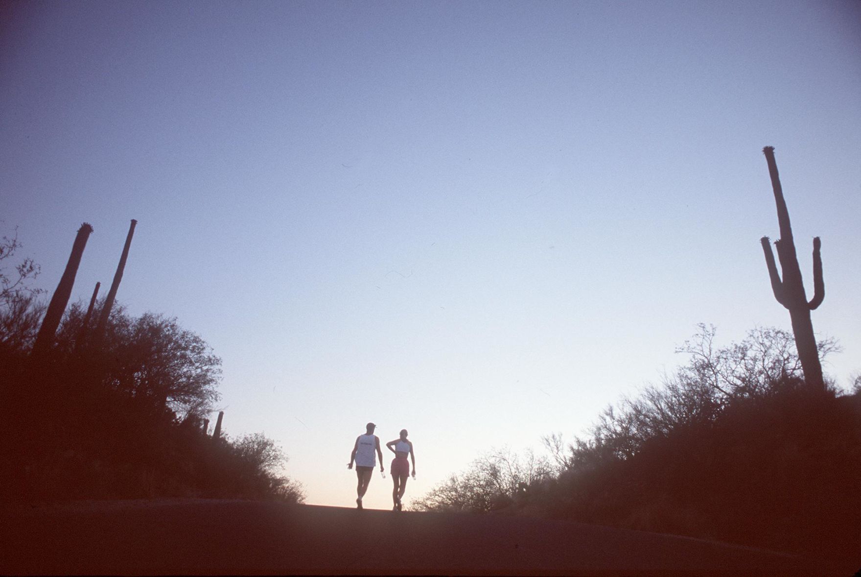 Sabino Canyon Recreation Area, Tucson